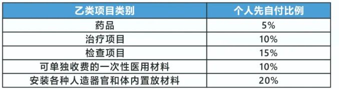 乙类项目